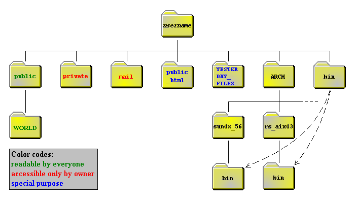Structure of the home directory